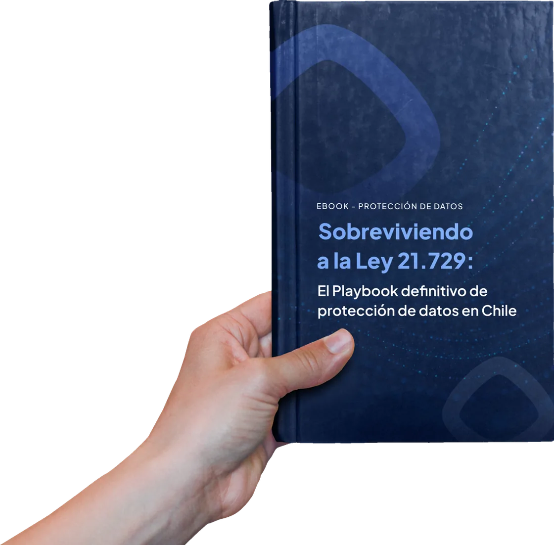 Ebook Sobreviviendo a la Ley 21.719